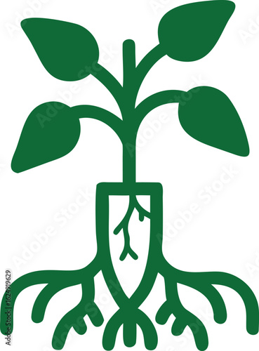 pepper plant with roots silhouette 