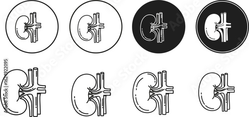 Set of kidney illustrations showing anatomy and medical concepts