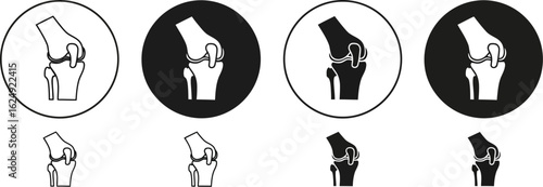 Set of stylized knee joint anatomical illustrations in circles and isolated