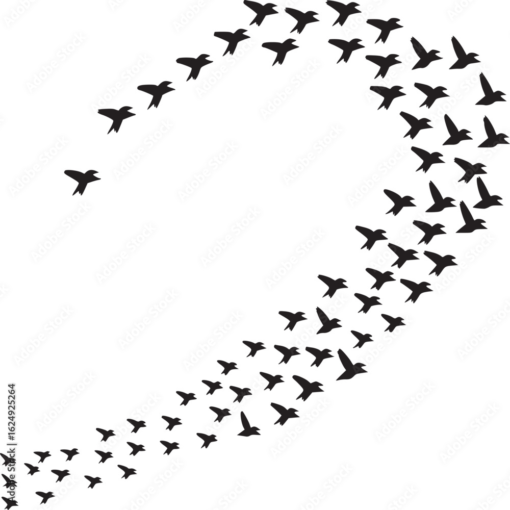 Obraz premium Flock of birds, flying birds, black silhouettes, bird migration, wildlife illustrations