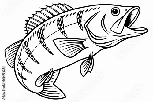 coloring page line art the bass black vector