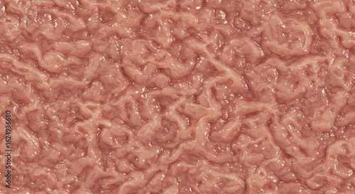 Visceral background of a wet, pinkish organic texture. A detailed close-up showing a convoluted surface resembling raw flesh or biological tissue.