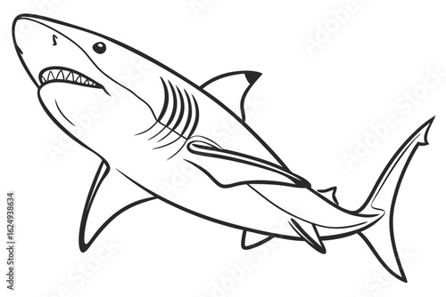 coloring page line art the bull shark fish black vector