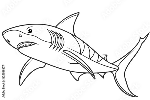 coloring page line art the bull shark fish black vector