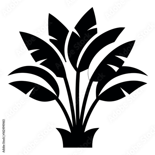 Stylized Black Silhouette of a Tropical Banana Leaf Plant on White Background Illustration