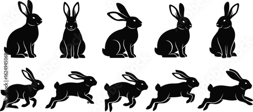 Rabbit silhouette, bunny poses, hopping motion, sitting rabbit, animal vector, wildlife icon, black shape, pet behavior, cute animal, nature art