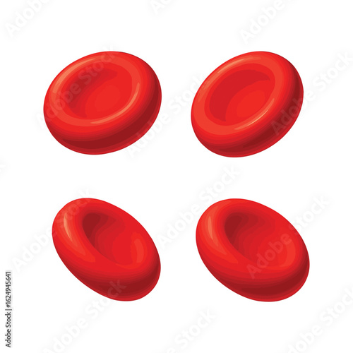 Four red blood cells depicted in a realistic 3d style isolated on white background