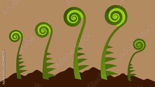 Fern Spirals Emerging from Damp Ground Natural Forest Detail