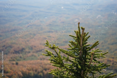 pine tree in the mountains
mountain landscape with clouds
Tskhrajvari ცხრაჯვარი