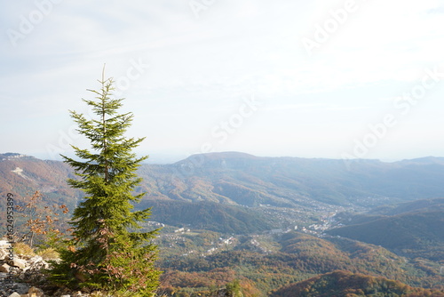 mountains in the morning
