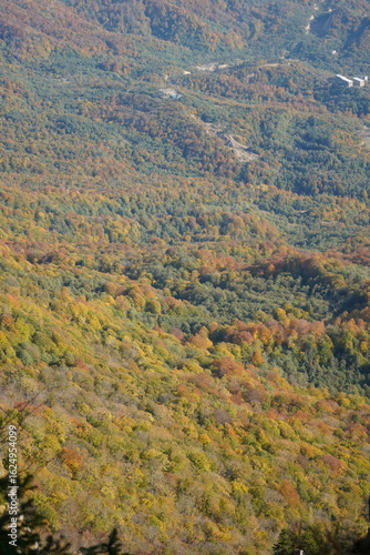 autumn in the mountains
mountain landscape with clouds
Tskhrajvari ცხრაჯვარი