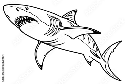 coloring page line art the shark fish black vector