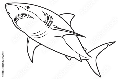 coloring page line art the shark fish black vector