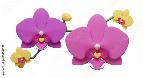 Wallpaper Mural Beautiful pink and purple orchid flowers Torontodigital.ca