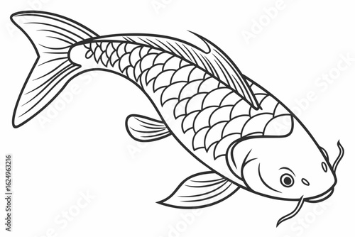 coloring page line art the loach fish black vector