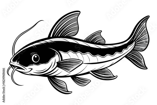 coloring page line art the catfish black vector
