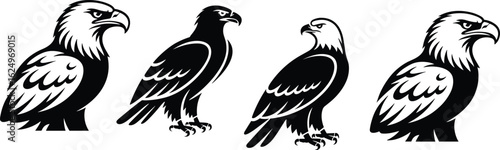 Set of four stylized eagle illustrations in side profile, perched and standing poses, black and white vector icons for graphic design
