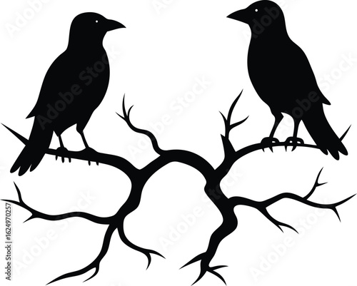 Two crows perched on a twisted branch silhouette isolated on white background