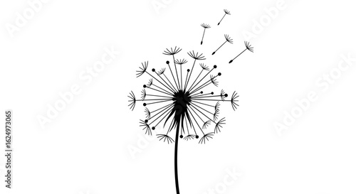 Silhouette of a dandelion seed head, with seeds dispersing, against a white background.