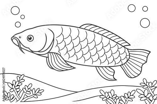 coloring page line art the arowana fish black vector