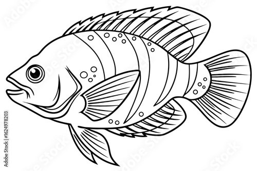 coloring page line art the oscar fish black vector