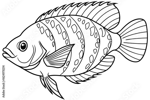 coloring page line art the oscar fish black vector