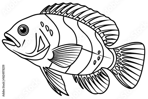 coloring page line art the oscar fish black vector
