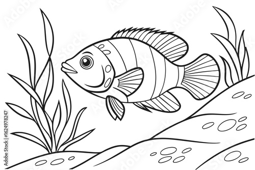 coloring page line art the oscar fish black vector