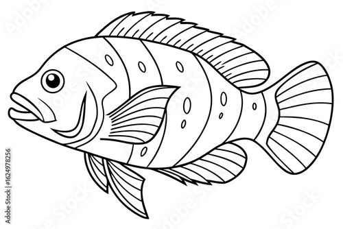 coloring page line art the oscar fish black vector