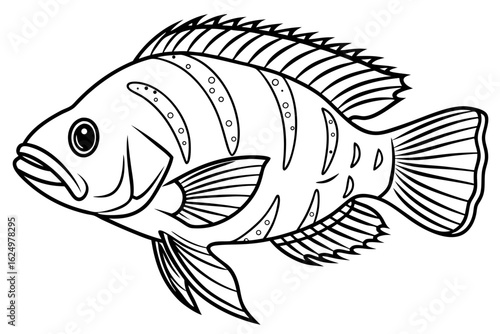 coloring page line art the oscar fish black vector