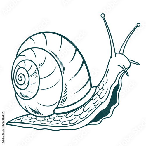 A slow and funny brown cartoon snail with a spiral shell on a white background