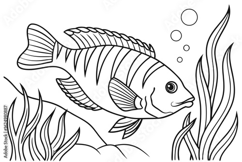 coloring page line art the cichlid fish black vector