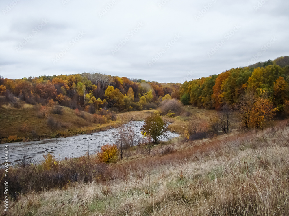 Fototapeta premium Golden autumn in early October in the countryside.