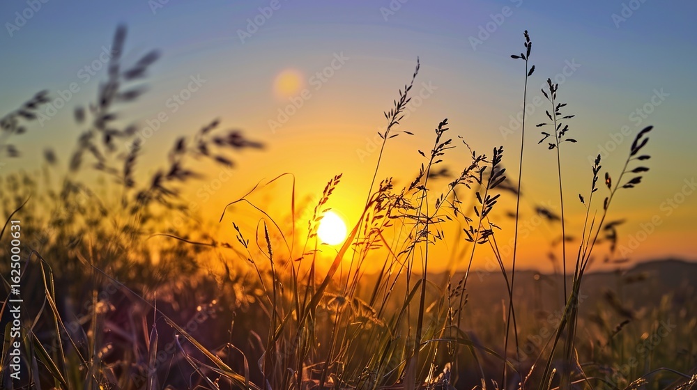 Fototapeta premium Golden Glow of Celebration: New Year Decorations Meet Grassland Sunset in Breathtaking Images As the sun dips below the horizon, painting the grassland in hues of amber and crimson, vibrant New Year d