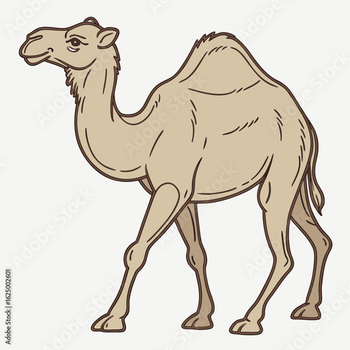 Cartoon dromedary camel isolated on a white background with a silhouette in the desert