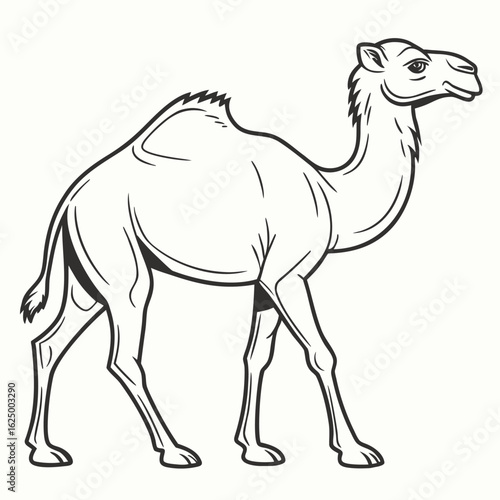 Cartoon dromedary camel illustration in a fun vector style