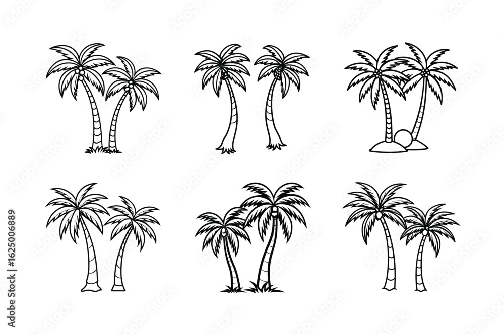 Fototapeta premium palm tree