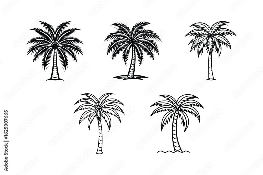 Fototapeta premium palm tree 