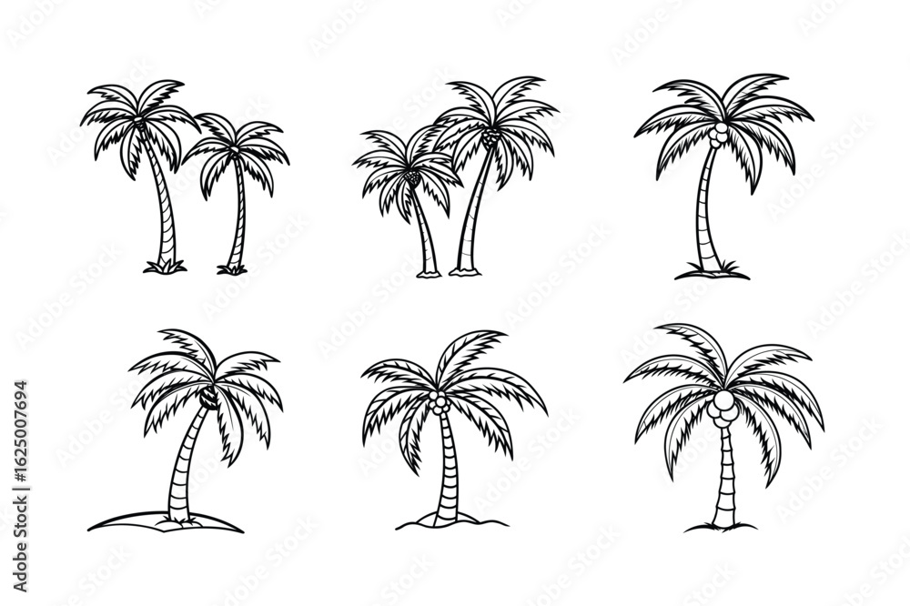 Obraz premium palm tree 