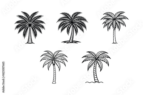 palm tree 