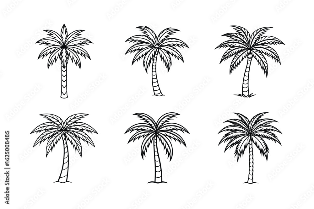 Fototapeta premium palm tree 