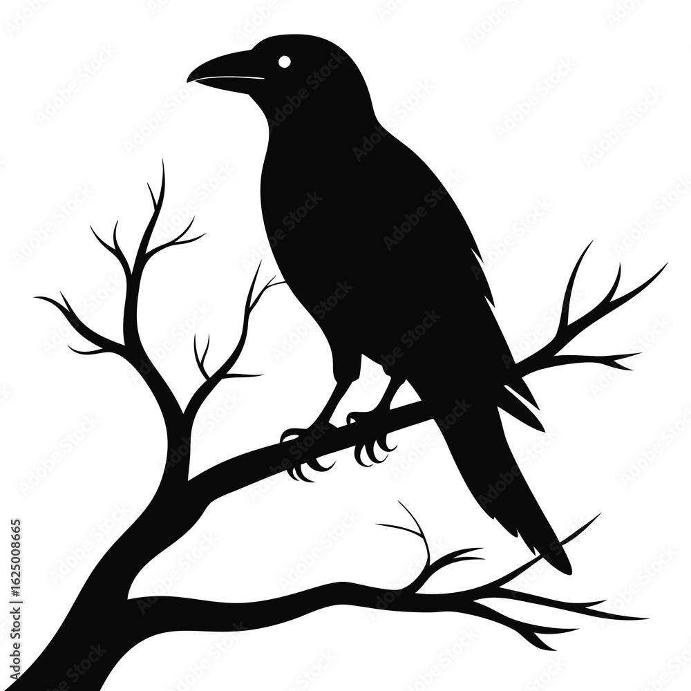Fototapeta premium Crow Perched on Branch Silhouette