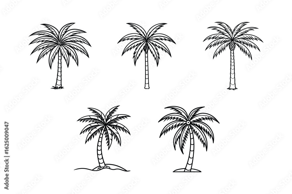 Fototapeta premium palm tree