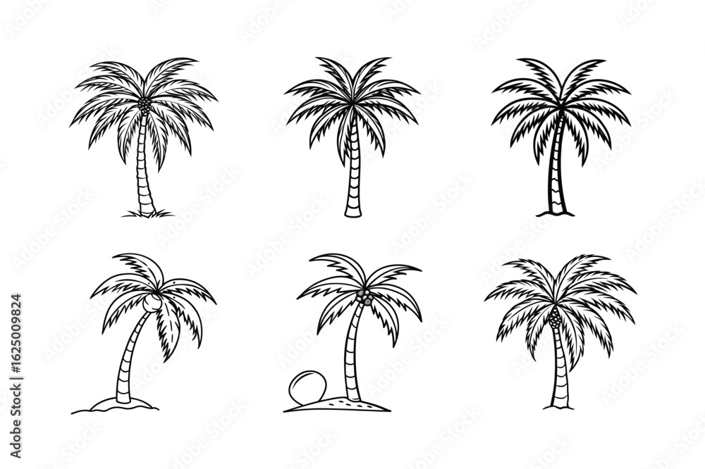 Obraz premium palm tree