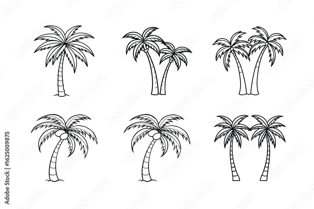 Obraz premium palm tree