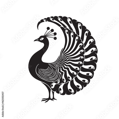 Elegant Black and White Peacock Illustration: Intricate Line Art, Ornate Feathers, Majestic Bird Design.