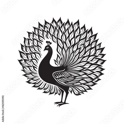 Elegant Black and White Peacock Illustration: Intricate Line Art, Ornate Feathers, Majestic Bird Design.