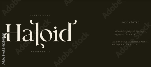 Haloid  Elegant alphabet letters font logo. Typography modern minimal lettering serif italic fonts decorative wedding vintage retro logos. vector illustration