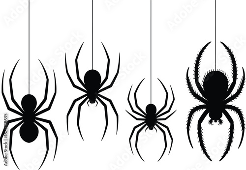 A collection of four black spider silhouettes hanging from their webs. An isolated vector illustration of spooky arachnids.