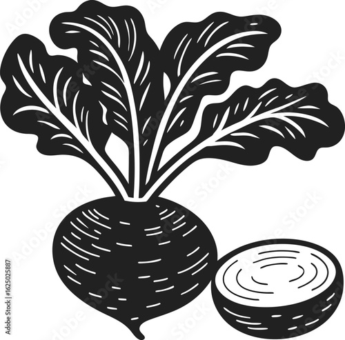 Black and white beetroot illustration with leafy tops and sliced half fresh root vegetable, healthy natural food, hand drawn